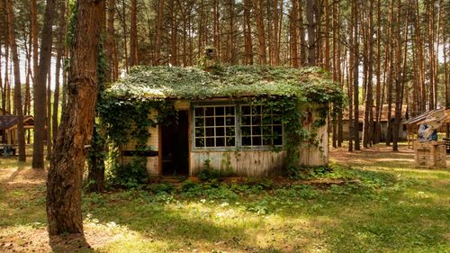 山间小屋图片大全(11/12)