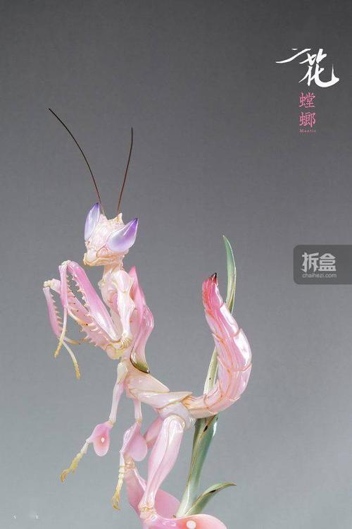 sazen兰花螳螂原创动物昆虫雕像gk涂装完成品