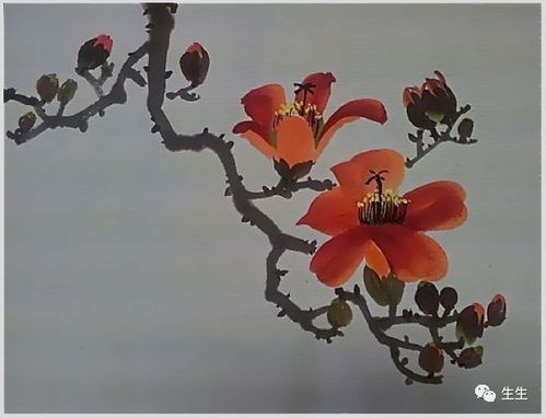 【国画课堂】木棉花