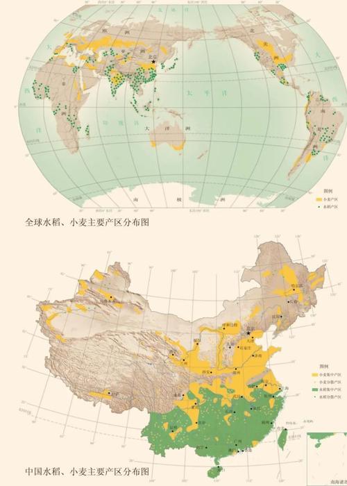 而且集中于东亚,东南亚和南亚地区 中国水稻的种植面积为3千万公顷