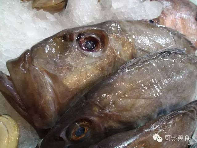 he631016 馆藏分类海鲂鱼,由于其英文名为john dory,所以也有人直接将