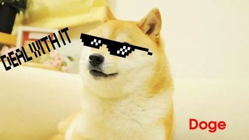 doge(亦称为"神烦狗","刀哥") doge狗的原型是一条名叫kabosu的日本