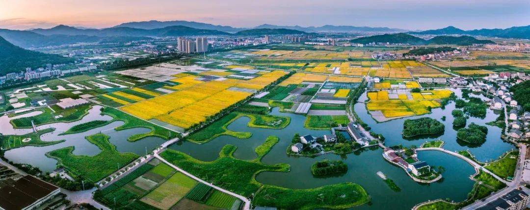 瑞安成国家示范!因为这项工作做得好