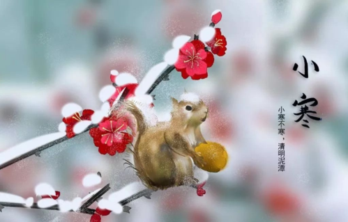 13,小寒节气祝福到,愿我的短信比别人快,比雪花早;愿你的心情像蜜一
