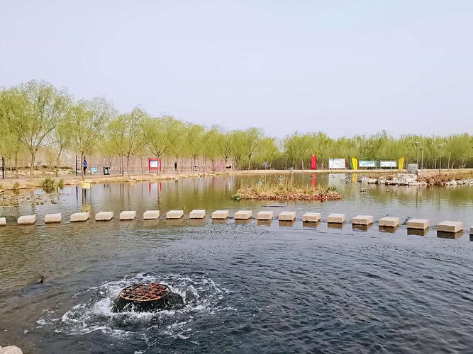 故乡美景~禹城徒骇河国家湿地公园