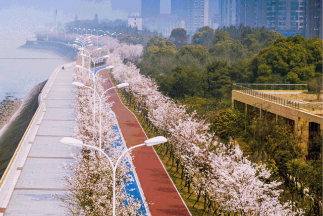 75米层高"滨江核心地铁口稀缺房源再度来袭!