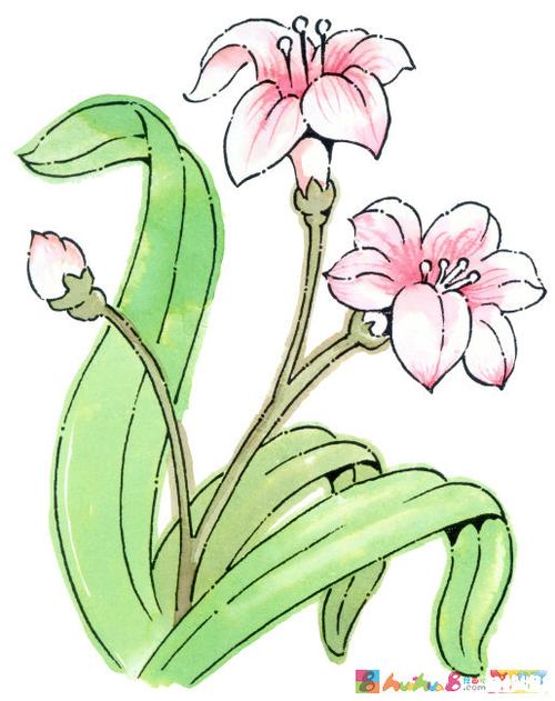 花卡通画图片大全可爱