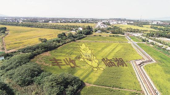 苏州吴中区临湖镇:打造乡村振兴高质量发展"样板间"