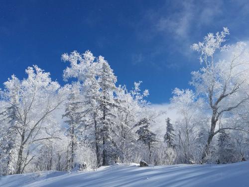 冰天雪地也是金山银山
