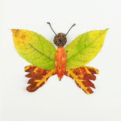 捡来树叶做一幅拼画,秋天带娃这样玩,轻松搞定幼儿园