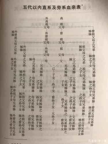 今天在自学法律条文,然后看到了五代以内血亲关系图,分享给大家