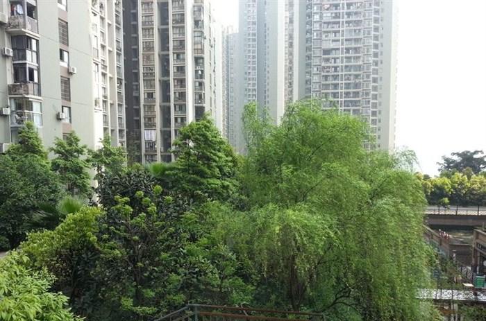 重庆江北哪个小区环境最好?重庆江北环境设施好的小区