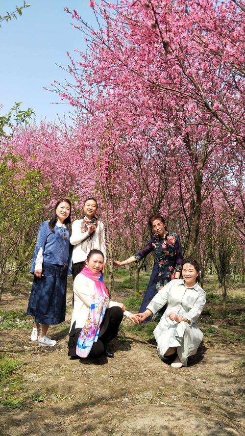 唐昌镇花田人家赏桃花