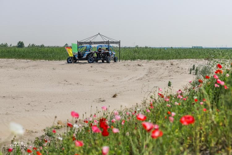 常熟长江铁黄沙生态园