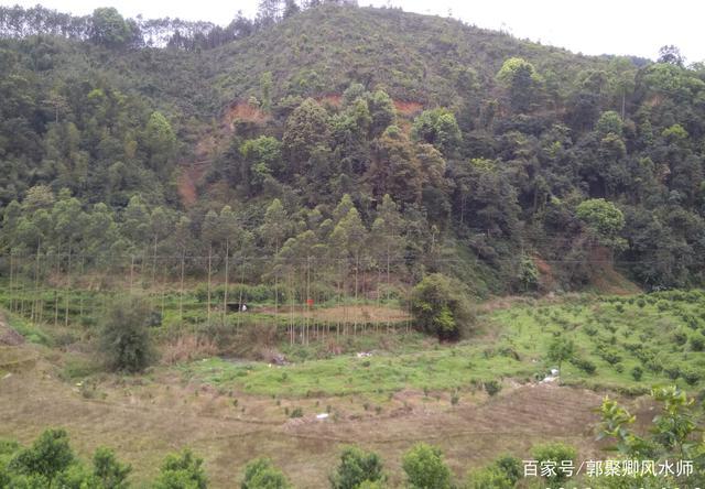 昭平县北陀九龙镇山秀风水案例分享