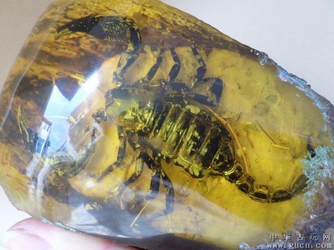 31元 天然水胆玛瑙原… 当前价: 9元 精品毛毛虫带星… 当前价: 31元