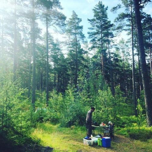 "大"惊世界的20片森林:林深百媚生|热带雨林|原始森林