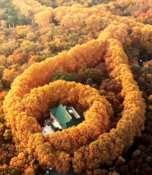 金陵秋色:美龄宫