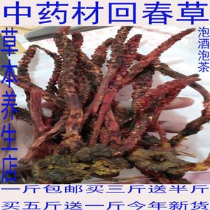 回春草顶天柱