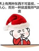 圣诞节圣诞帽猥琐搞笑表情包图片