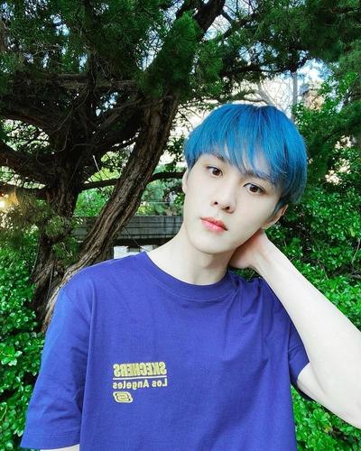 作为一个i蓝色,找了些图,xpc们来看看他们适合蓝发吗