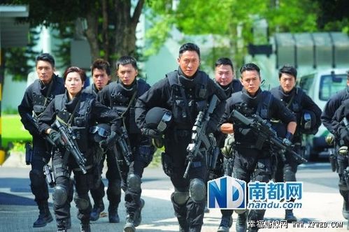 港剧飞虎2什么时候更新?揭演员表分集剧情介绍(1-10全集)大结局