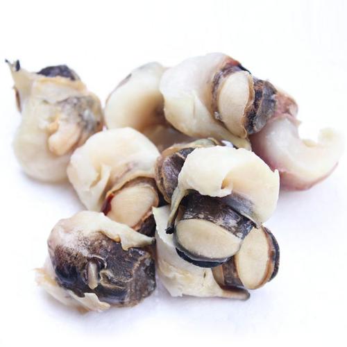 海螺肉 新鲜活去壳响螺肉冷冻大海螺肉去内脏贝类海鲜