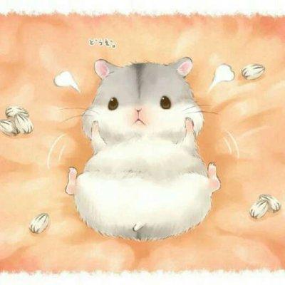 呆萌小仓鼠头像