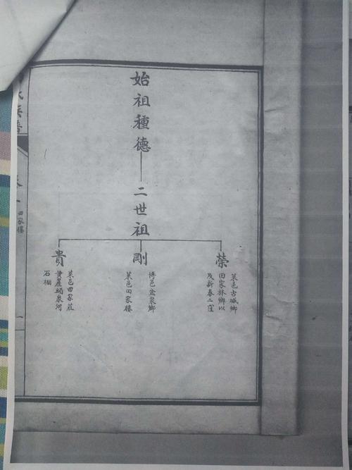 塔子田氏简化族谱