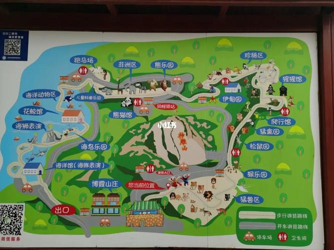 西霞口神雕山野生动物园_海豚_动物园_带娃_西霞口神雕山野生动物园