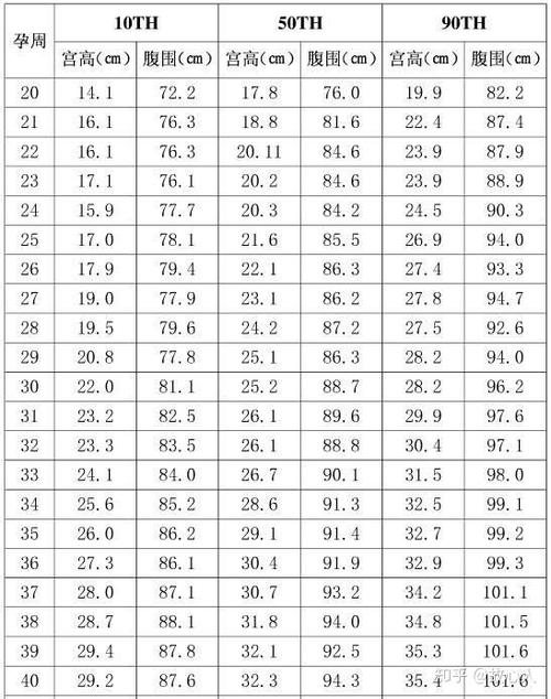 宫高腹围参照表
