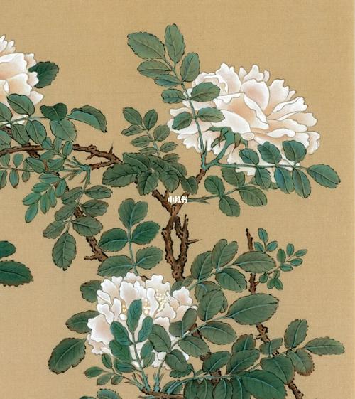 白蔷薇册页_蔷薇_手绘_工笔画_宋画临摹_兴趣爱好_绘画