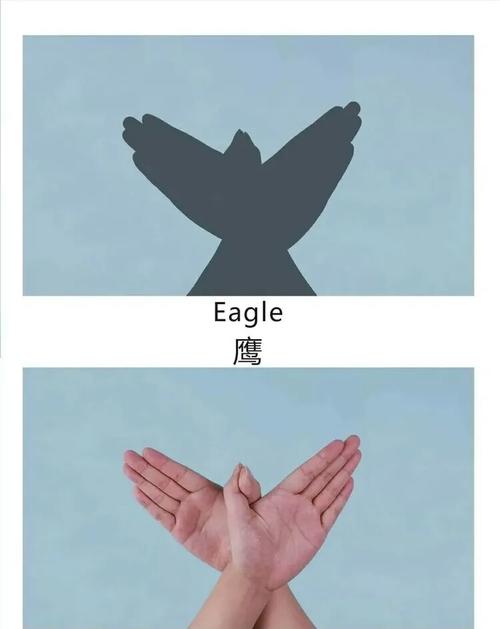 手影和语言活动 写美篇 交叉手掌,大拇指勾住,一只栩栩如生的老鹰就