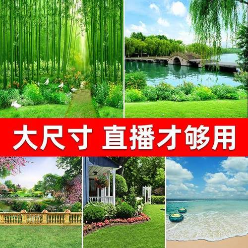 购客2021直播背景墙布新款高级感挂布高端3d立体网红大气简单户外农村