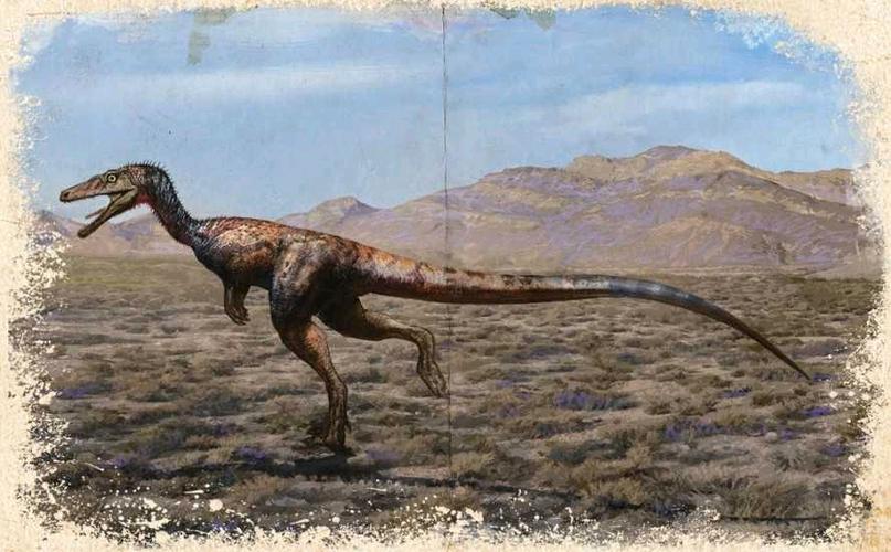 不同的牙齿畸齿龙