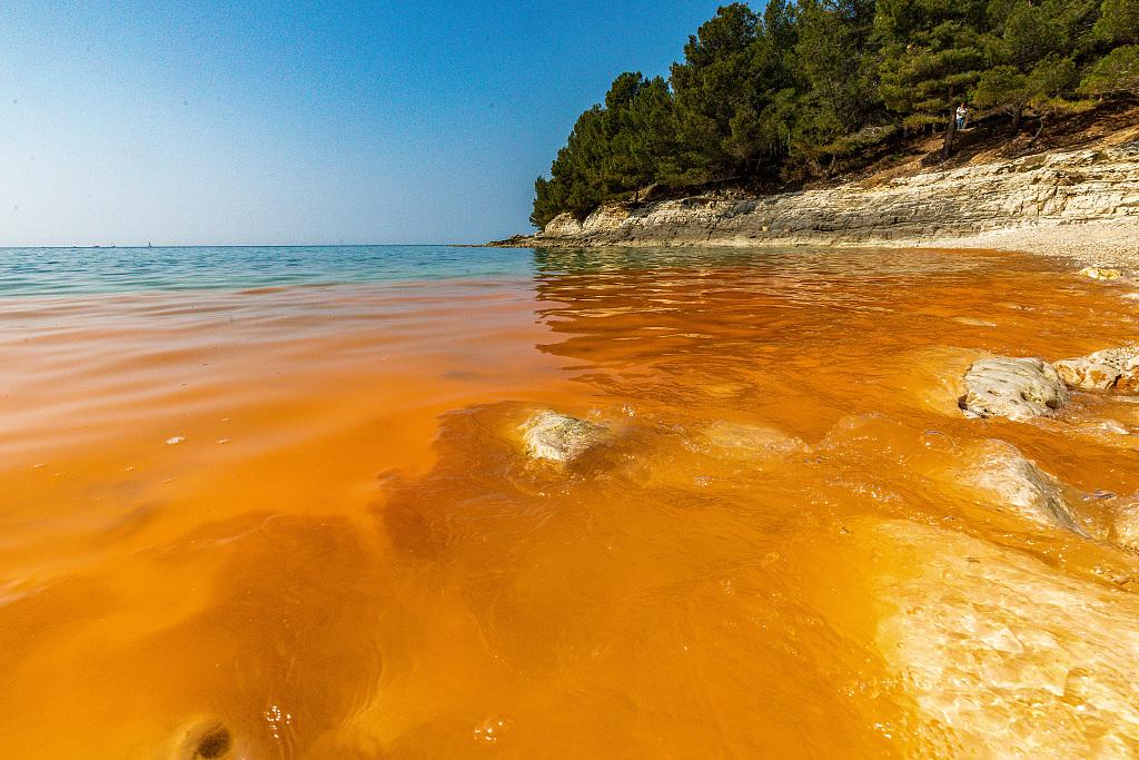 实拍克罗地亚普拉赤潮