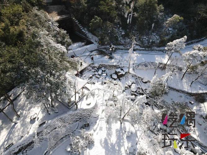 温州竟然能玩雪!驱车仅半小时,速去打卡!_白云山