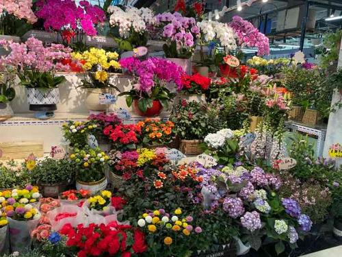 蟹岛国际花卉-"新开在蟹岛的一个花卉市场,很好找,进.