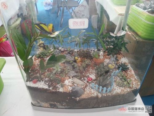 这个是大家一起努力的成果,利用破碎的鱼缸做的!