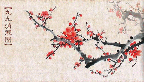 数九",即从冬至这—大起,每隔九天作为一个"九",共分成9个"九",共九九