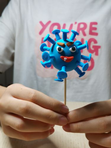 王子伊的新冠病毒模型