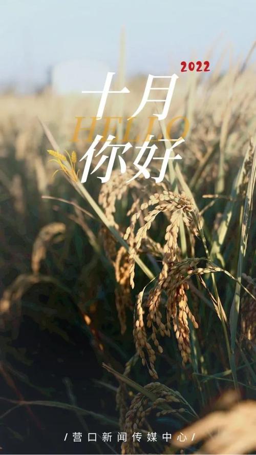 2022年营口版手机壁纸解锁啦