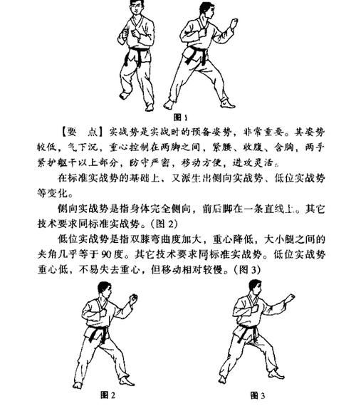跆拳道实战技巧,第三节姿势与礼节,图文详解!