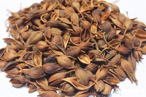 连翘:清热凉血散结