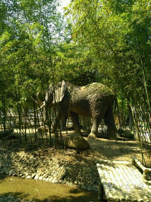 万竹园图片 - 第23张