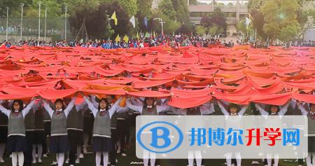 绵阳富乐国际学校2021年招生计划