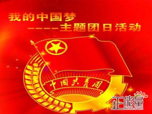 2019年基层团支部主题团日活动总结