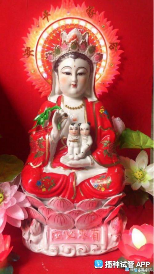 [试管婴儿]阿弥陀佛大慈大悲观世音菩萨保佑