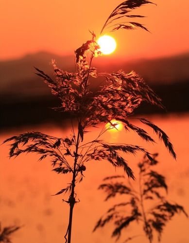 韩国美景唯美日暮红霞映照清道