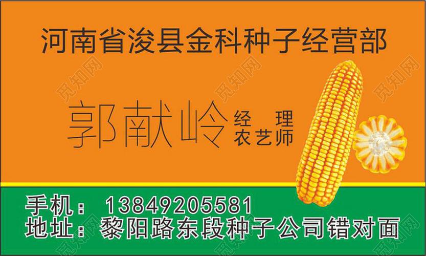 简约桔色个人玉米名片
